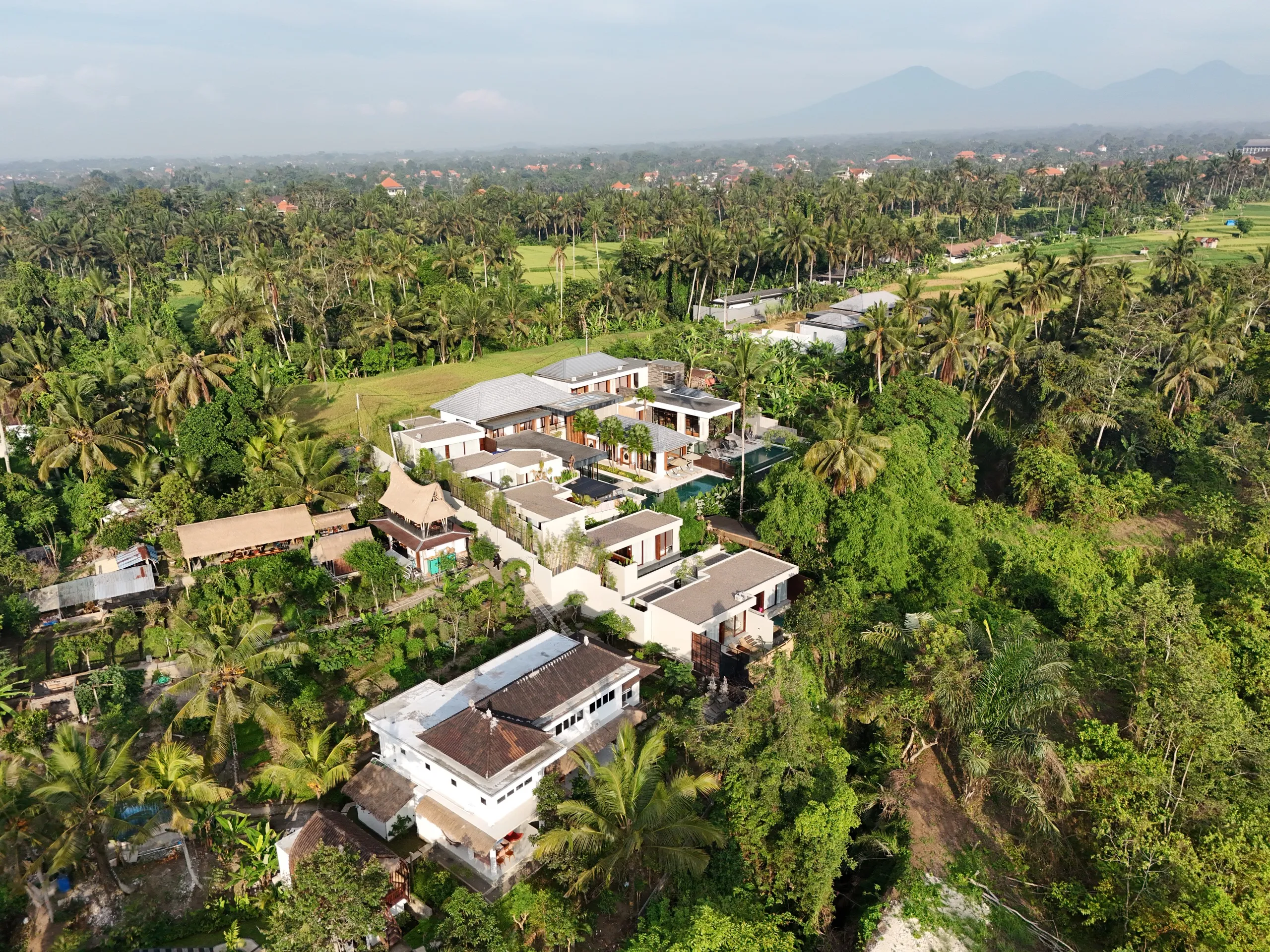 Aerial view of villas in Peliatan, Ubud, among coconut palms with mountains beyond.