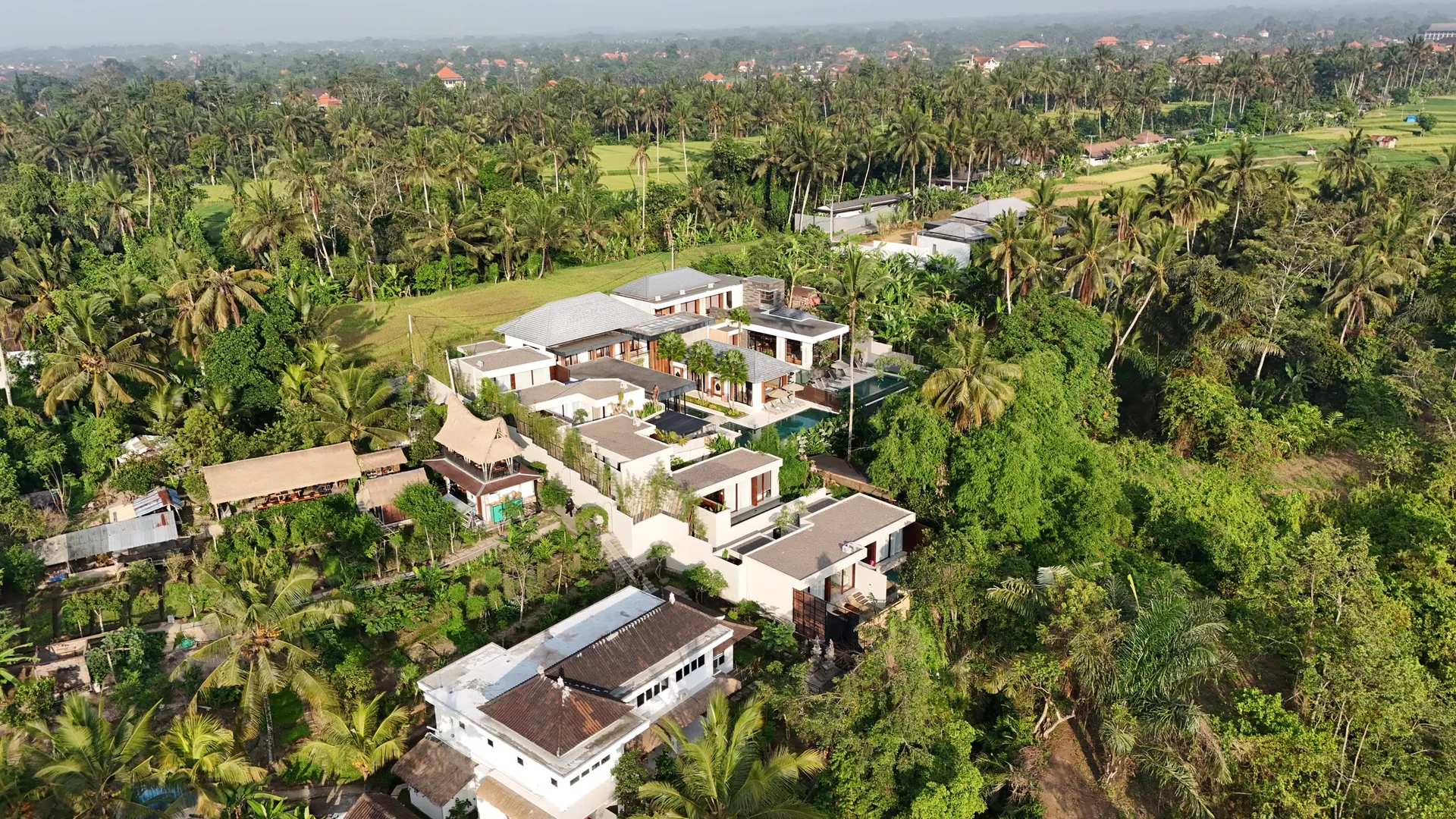 Aerial view of villas in Peliatan, Ubud, among coconut palms with mountains beyond.