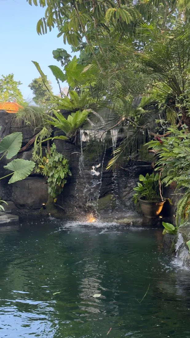 A fish pond with a small waterfall and tropical garden.
